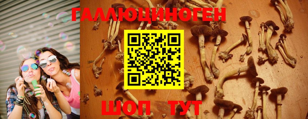 Галлюциногенные грибы прущие грибы Еманжелинск